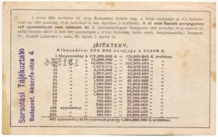 1925. "Mezőgazdasági Sorsjegy" sorsjegy 25.000K-ról T:III fo., kis beszakadások