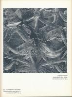 Dienes István: A honfoglaló magyarok. Első kiadás. Fekete-fehér fotókkal illusztrálva. Heredtias. Bp...