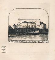 Steier, Louis: There is no Czech culture in Upper Hungary. Illustrations by Joseph de Makoldy. Bp., ...