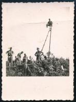 cca 1940 Harcállást építő, dróttelepítő katonák, II. világháborús fotó, kisebb törésnyommal, 8x6 cm