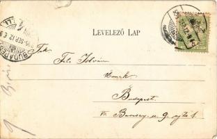 1905 Vác, Barátok temploma. Divald Károly 600. sz. (szakadás / tear)