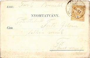 1910 Máriabesnyő (Gödöllő), Kegytemplom, kegyhely, Jótanács Anyja. Üdvözlet a Máriakongregációk rend...