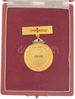 1963. "Magyar Népköztársaság Bajnoka - 1963 - Kenu" kétoldalas, zománcozott díjjelvény ere...