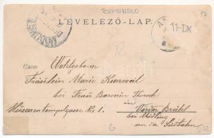 1900 Anina, Stájerlakanina, Steierdorf; vasgyár / iron works, factory. photo (szakadás / tear)