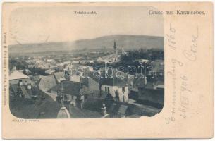 1906 Karánsebes, Caransebes; Müller G. Photo, H. Perlfaster (EK)