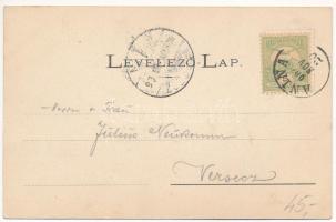 1904 Anina, Stájerlakanina, Steierdorf; vasgyár. Hollschütz kiadása / iron works, factory (EK)