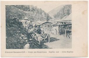 Ruszpolyána, Havasmező, Havaskő, Poienile de sub Munte, Ruspoiana (Máramaros); lovaskocsik / horse carts (Rb)