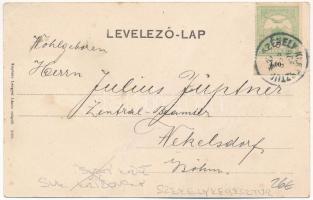 1906 Székelykeresztúr, Kristur, Cristuru Secuiesc (Sacuesc); lengyár és környéke / linen factory. Ar...