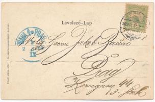 1902 Szatmárnémeti, Satu Mare; Szecessziós lóherés montázs. Reizer János kiadása / Art Nouveau, clov...