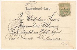 1902 Herkulesfürdő, Baile Herculane; Hét hőforrás, Gyógyterem. Emil Jäger / Cursalon, Sieben heisse ...