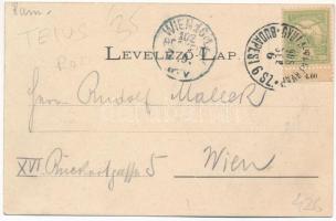 1905 Tövis, Teius; Piac, Fő út, Katolikus templom, Maroshíd, MÁV vasúti vonal Tövis és Karácsonfalva...