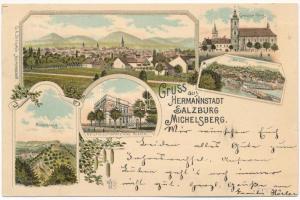 1897 (Vorläufer) Nagyszeben, Hermannstadt, Sibiu; Grosser Ring, Salzburg, Michelsberg, Naturwissenschaftliches Museum / Vízakna, Kisdisznód, tér, Természettudományi múzeum / Ocna Sibiului, Cisnadioara, museum. G. A. Seraphin Art Nouveau, floral, litho