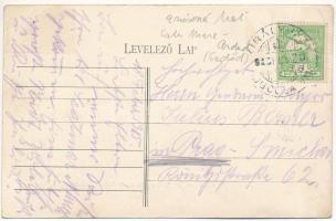 1915 Erdőd, Károlyierdőd, Ardud (Szatmár); Szatmár-Erdődi h.é. vasút, Petőfi torony, gőzmozdony, von...