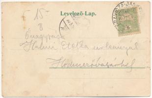 1905 Anina, Stájerlakanina, Steierdorf; iparvasút a vasgyárban. Hollschütz kiadása / industrial rail...