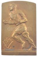 Tokody Gyula (1890-1974) DN Vasas egyoldalas bronz emlékplakett (62x44mm) T:1- kis patina