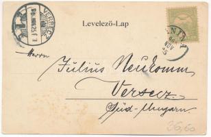 1904 Anina, Stájerlakanina, Steierdorf; Frigyes és Ronna akna, bánya. Hollschütz F. kiadása / mine (...