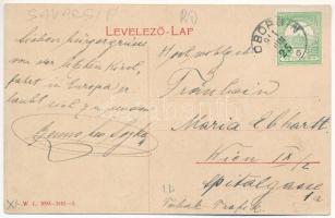 1911 Soborsin, Savarsin; Római katolikus templom, Hunyadi gróf kastélya, Fő utca, piac / church, cas...