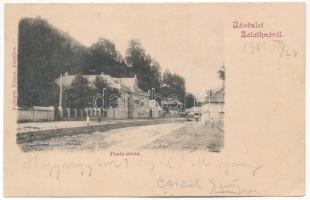 1901 Zalatna, Zlatna; Posta utca. Folberth Vilmos kiadása / street view (EK)
