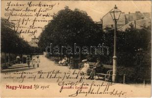 1905 Nagyvárad, Oradea; Ezredévi emléktér / square (fa)