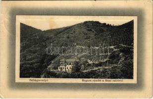 1915 Szilágysomlyó, Simleu Silvaniei; Magura részlet a Moni szőlővel, Moni villa. W.L. P. "Ideal" Schwarcz E. és Társa kiadása, Simonek G. amateur felvétele / Magura mountain, villa, vineyards (EK)