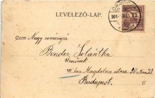 1901 Oravicabánya, Oravica, Oravicza, Oravita; Bányavölgy. Gross Gyula kiadása / mine valley (EB)