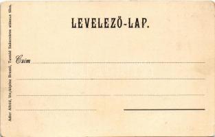 Tusnádfürdő, Baile Tusnad; Sveic-Schweiz nyaraló. Adler Alfréd fényképész / villa, spa (EK)