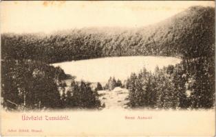 Tusnádfürdő, Baile Tusnad; Szent Anna-tó. Adler Alfréd / Lacul Sfanta Ana / lake, spa (fl)