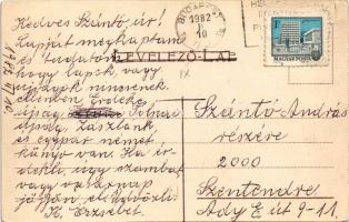 Budapest, Erzsébet királyné hídja, Tabán, Szent Gellért szobor, Királyi vár. Székesfőv. Házinyomda l...