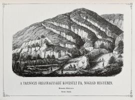 Magyarország és Erdély képekben. I-IV. kötet (Két kötetben). Szerk.: Kubinyi Ferenc, Vahot Imre. Bp....