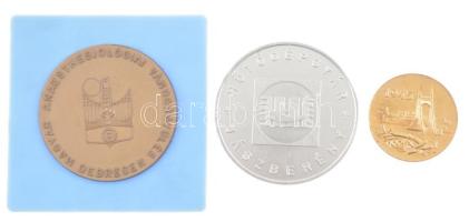 1970. "Hűtőgépgyár - Jászberény / 1 Milliomodik 1970. dec. 12." kétoldalas Al emlékérem (6...