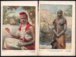 cca 1912 2 db vármegye térkép (Abaúj-Torna, 16,5x15 cm és Alsó-Fehér, 14x18 cm, utóbbi sérült) és 4 ...