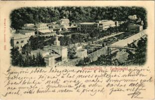 1898 (Vorläufer) Herkulesfürdő, Baile Herculane; (EK)
