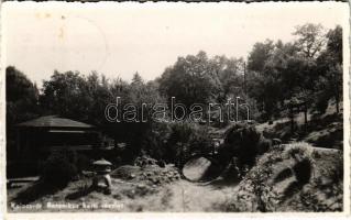 1941 Kolozsvár, Cluj; Botanikus kert részlete / botanical garden (fl)