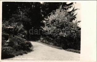 Kolozsvár, Cluj; Botanikus kert részlete / botanical garden