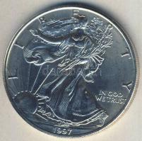 USA 1997. 1$ Ag 1oz. "Liberty" T:1-/2+