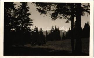 1941 Borszék, Borsec; Kossuth rét. Heiter György udvari fényképész felvétele / meadow