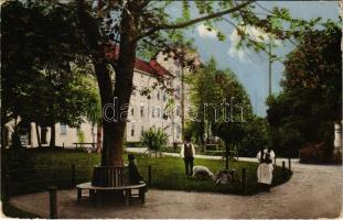 1912 Nagyszeben, Hermannstadt, Sibiu; Stadtpark mit Sanatorium / Park és Szanatórium / park, sanatorium (fa)