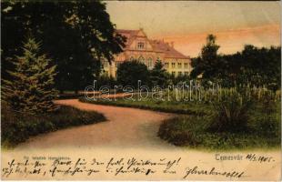 1905 Temesvár, Timisoara; Állami felsőbb leány iskola / girl school (EK)