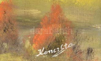 Koncz Eta (?-2016): Faluszéle. Olaj, farost, jelzett, fakeretben, 55×84 cm