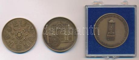 Csucs Viktória (1934-1993) 1979. "Magyar Éremgyűjtők Egyesülete 1969-1979" kétoldalas bron...