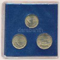 Argentína 1978. 20P + 50P + 100P 1978-as Labdarúgó Világbajnokság alkalmából kiadott szett tokban T:1- Argentina 1978. 20 Pesos + 50 Pesos + 100 Pesos 1978 World Soccer Championship coin set in case C:AU