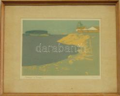 Bikus? jelzéssel: Zöldár a Tiszán színezett metszet, papír, keretben 53x42 cm