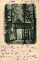 1901 Sinaia, Cuibul Printesei / Princesss Nest wooden cabin