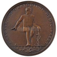 DN A Magyar Laboratóriumi Medicináért - Asclepios / Diagnosticum kétoldalas bronz emlékérem bársony borítású dísztokban (97mm) T:1-
