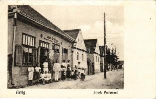 Felek, Freck, Avrig; Strada Vestemeni / utca, Ioan Schitea üzlete és saját kiadása / street, shop (Rb)