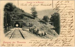 1900 Busteni, Tunelul / railway tunnel