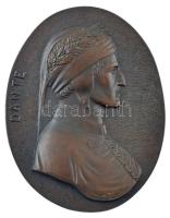 DN Dante egyoldalas bronzozott fém emlékplakett akasztóval, (116x90mm) T:1- hátoldal karcos ND Dante one-sided bronzed metal commemorative plaque with hanger (116x90mm) C:AU reverse side scratched