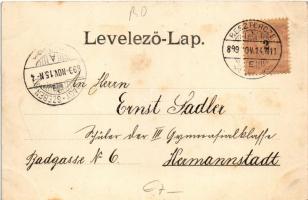 1899 (Vorläufer) Beszterce, Bistritz, Bistrita; Gewerbevereinshaus / Iparosegylet háza. M. Binder ki...