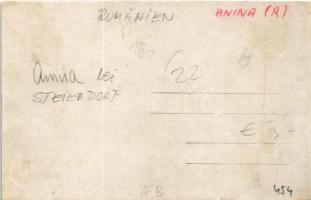 Anina, Stájerlakanina, Steierdorf; vasgyár / iron works, factory. photo (r)