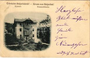 1899 (Vorläufer) Stájerlak, Steierlak, Stájerlakanina, Steierdorf, Anina; Sommerfrische / nyaraló. V. Rose kiadása / villa (EB)